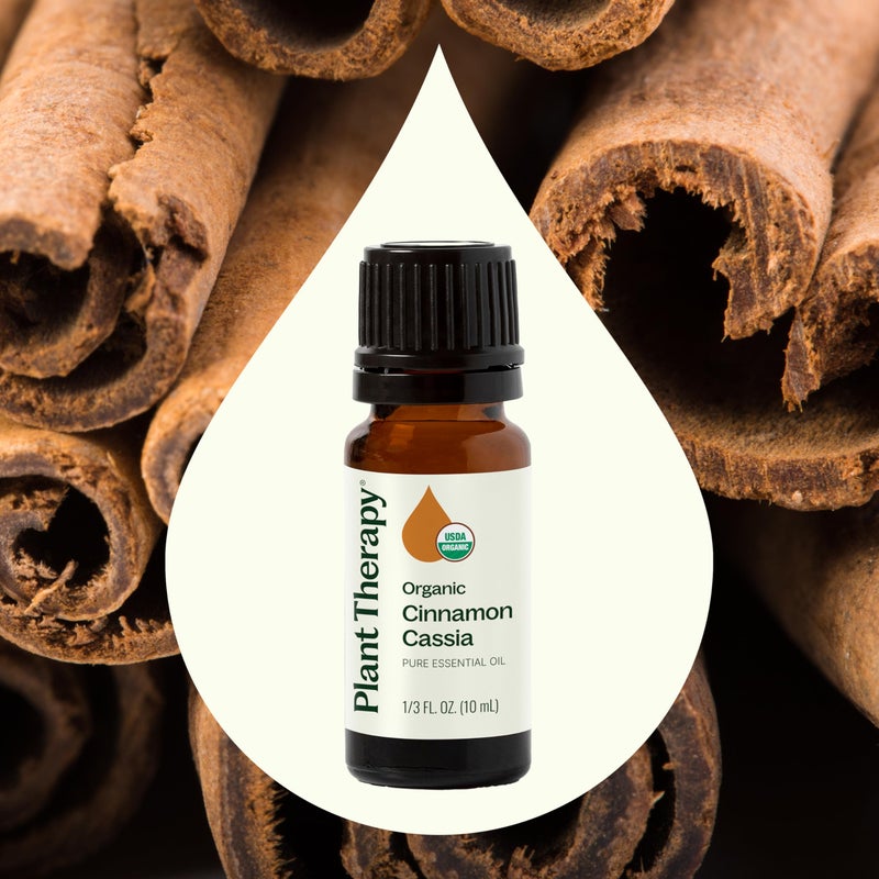 Plant Therapy USDA Certified Organic Cinnamon Cassia Essential Oil 10 mL (1/3 oz) 100% Pure, Undiluted, Cozy Aroma, Soothes Sore Muscle - Image 3